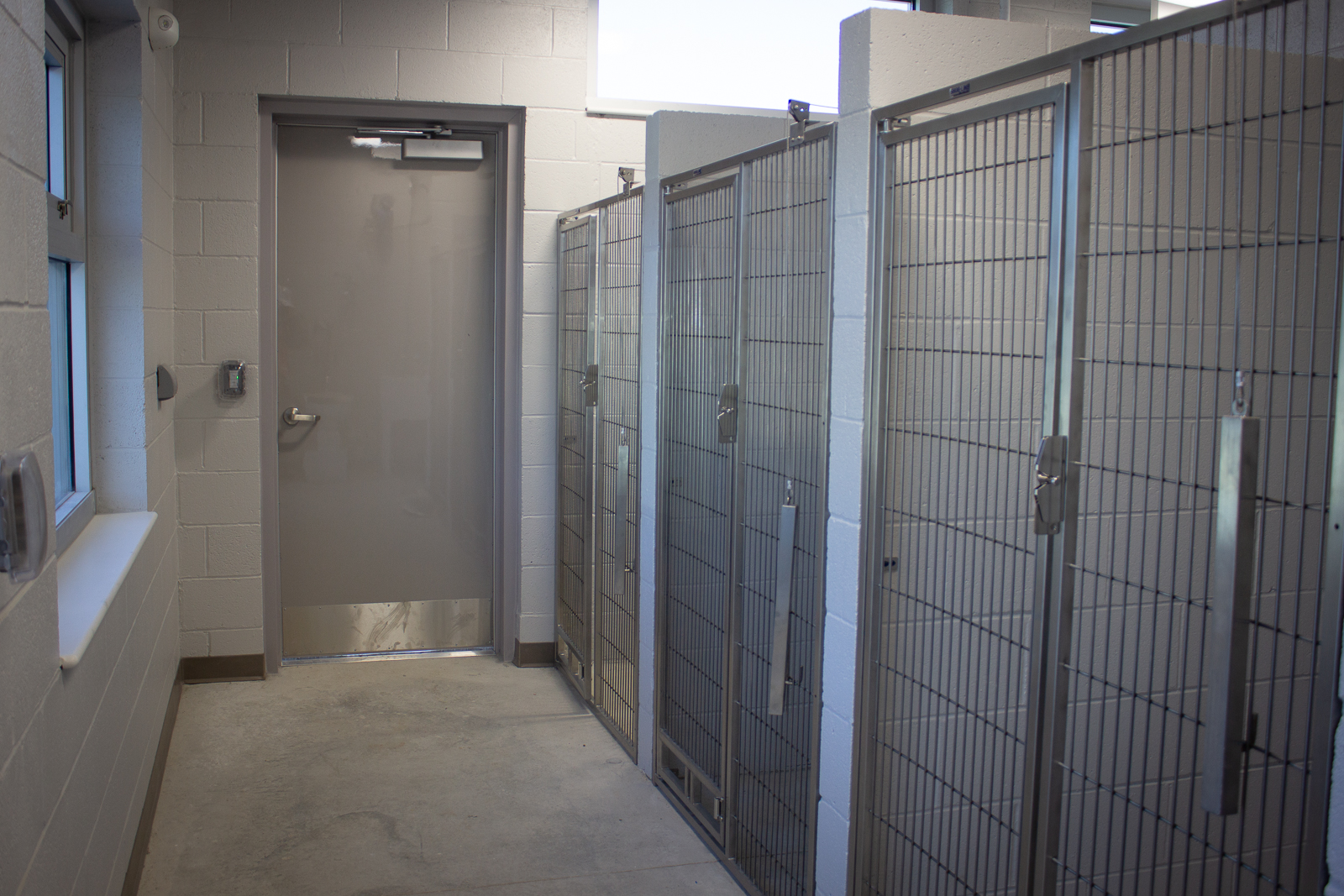 Photo of temporary dog holding area in the animal control portion of the shelter.