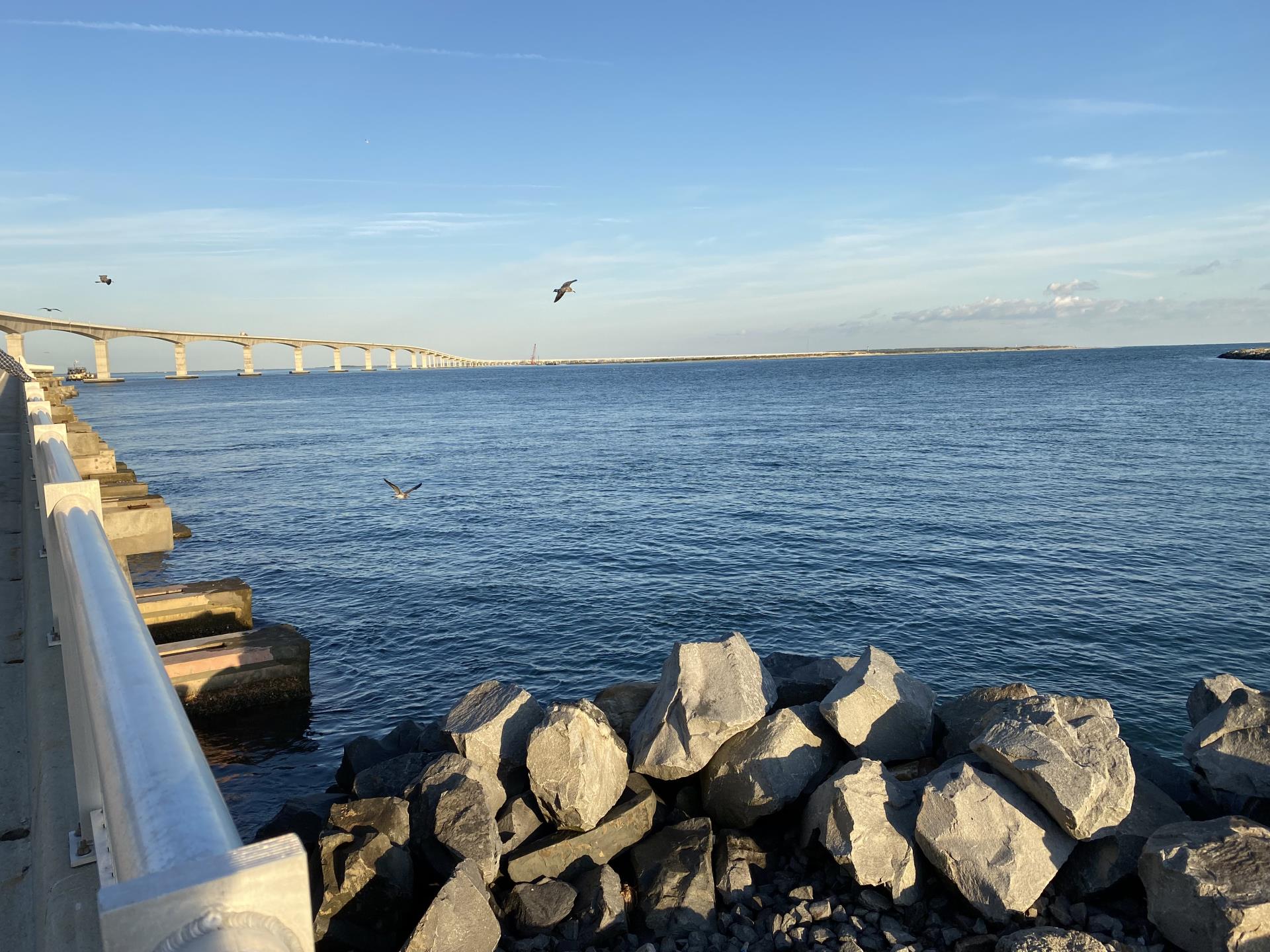 Image of Oregon Inlet with seagulls flying and Marc Basnight Bridge