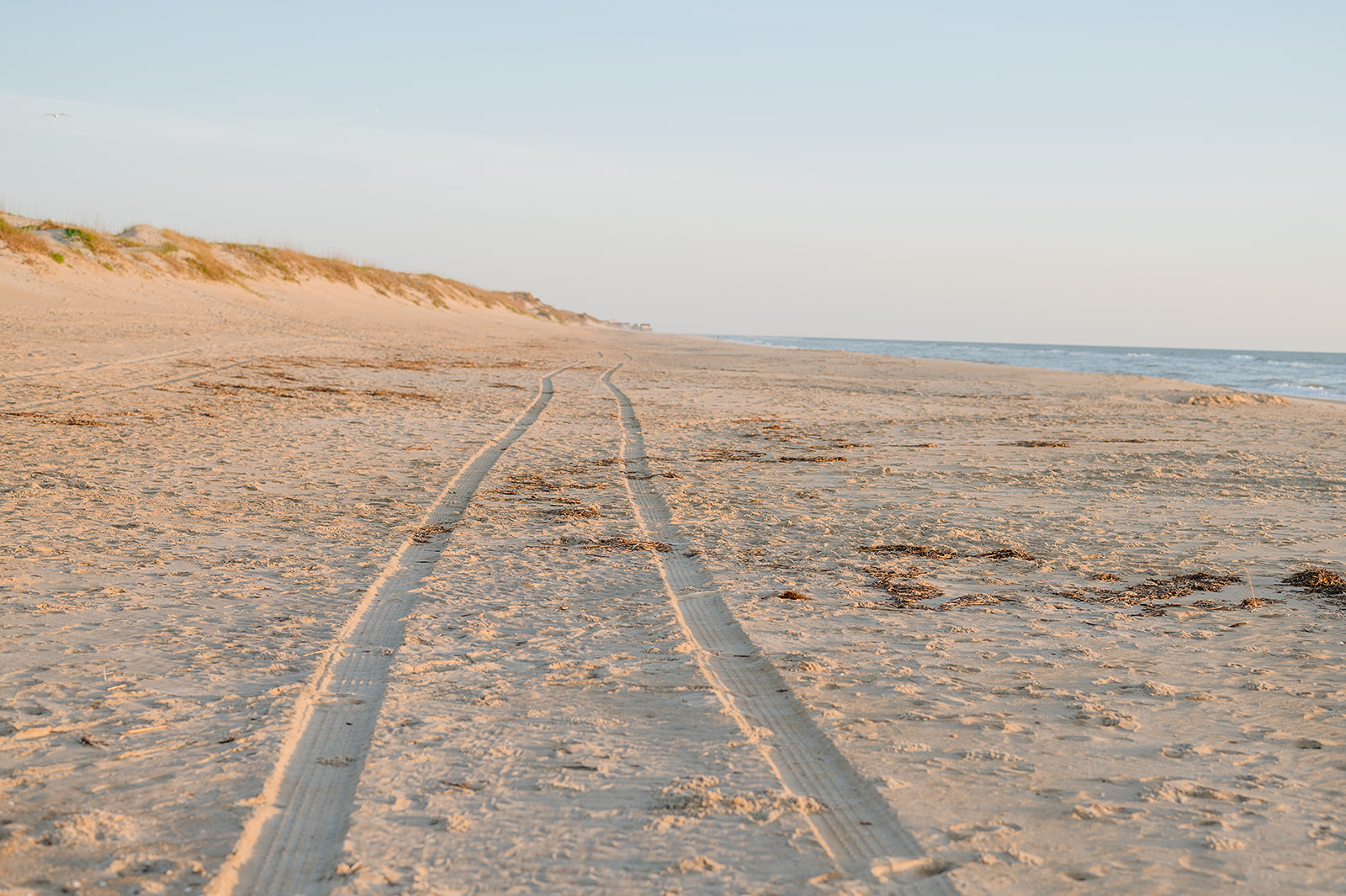 Image of tire tracks in the sand on the beach.