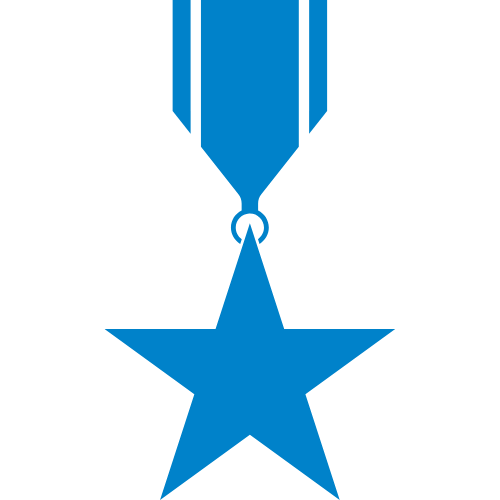 Graphic displaying a ribbon with a star pendant.