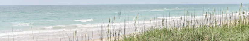 Image of a beach with dune grasses.