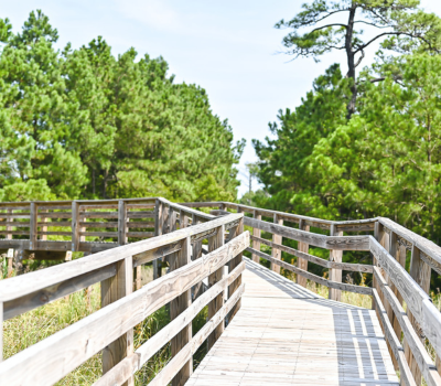 Image of a wooden pathway through the woods, known as the Marshall Gussie Collins Trail.